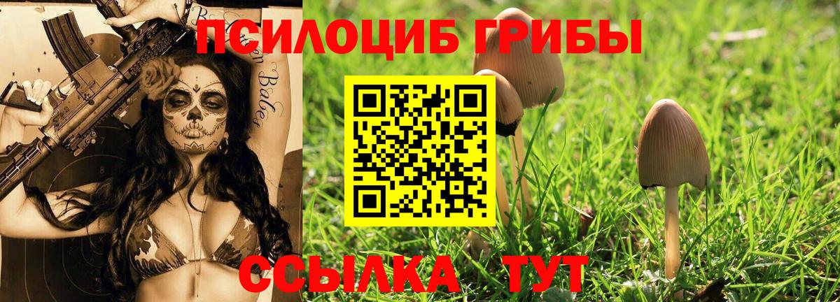 Галлюциногенные грибы Cubensis  Псилоцибиновые грибы Psilocybine cubensis  Звенигород  Вход с VPN 