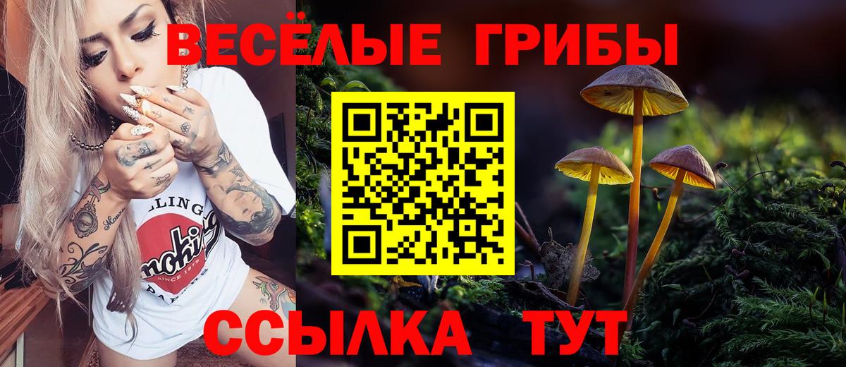 Галлюциногенные грибы GOLDEN TEACHER Звенигород